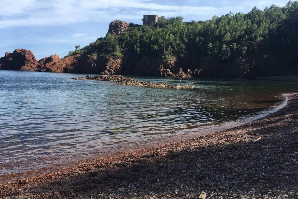 "Les Alizes" Cote Piscine Proche Bord De Mer Saint-Raphaël Exteriér fotografie