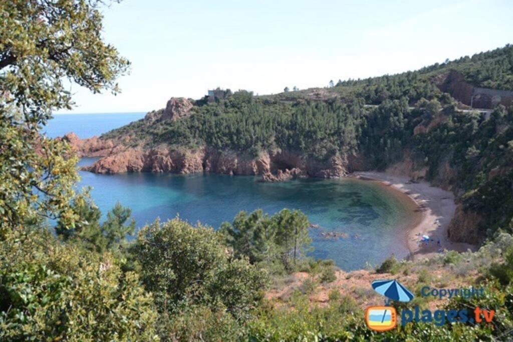 "Les Alizes" Cote Piscine Proche Bord De Mer Saint-Raphaël Exteriér fotografie